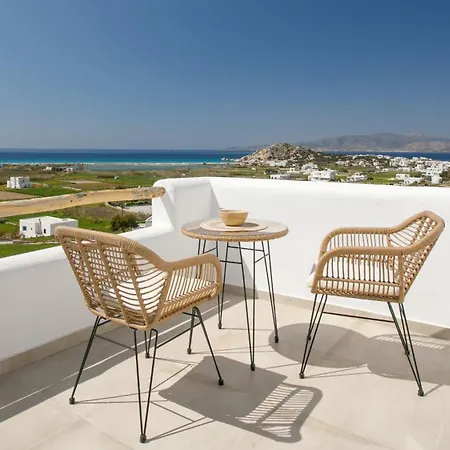 Hotel Naxos Earth