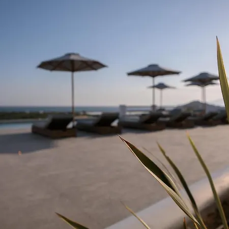 Hotel Naxos Earth