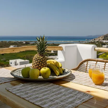 Naxos Earth מלון *