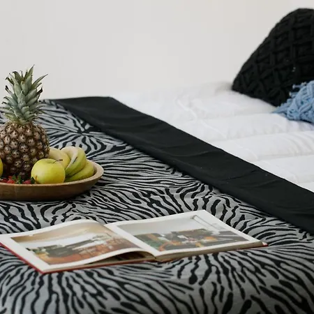 Naxos Earth * מיקרי ויגלה