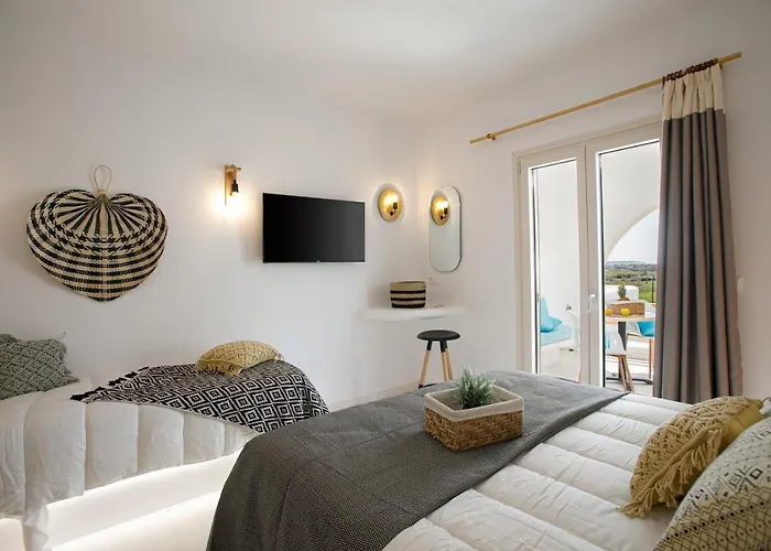 Naxos Earth 酒店 米科利维亚