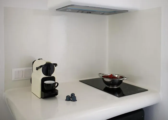 酒店 Naxos Earth *