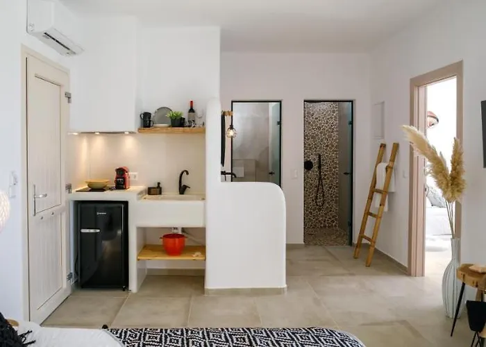 酒店 Naxos Earth 米科利维亚