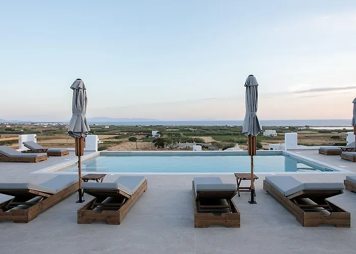 Naxos Earth 酒店 米科利维亚