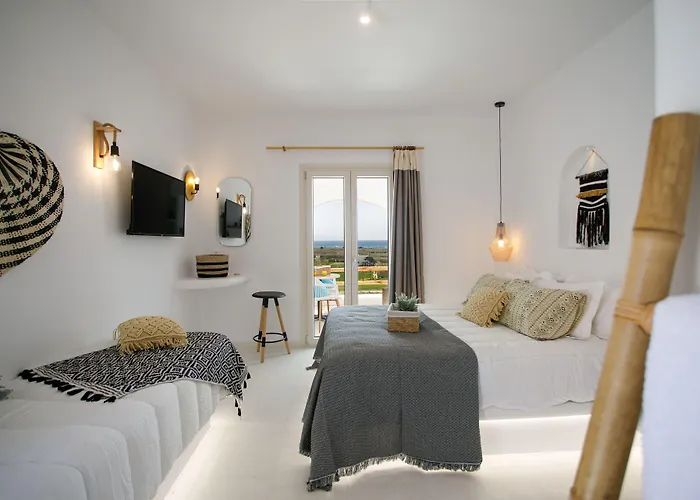 Naxos Earth 酒店 *