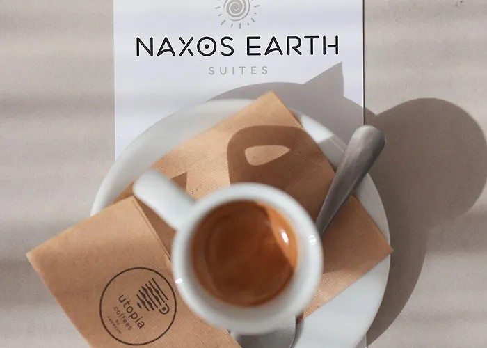 Hotel Naxos Earth *